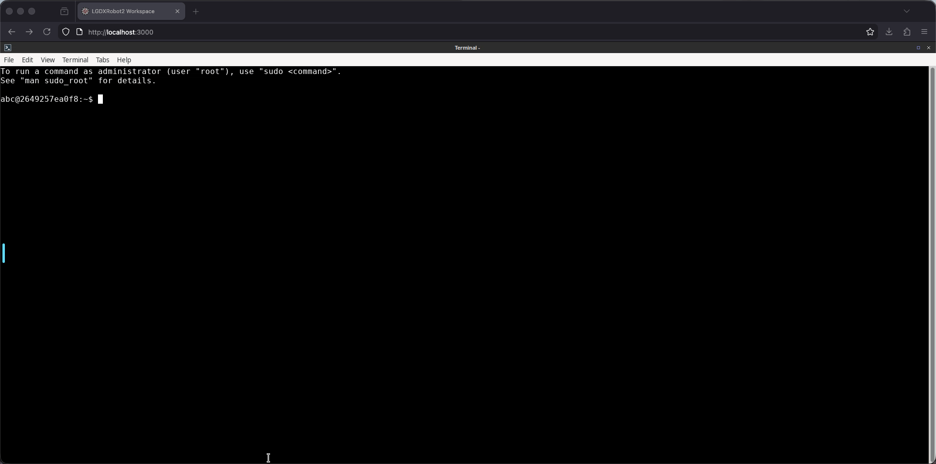 Screenshot of the terminal